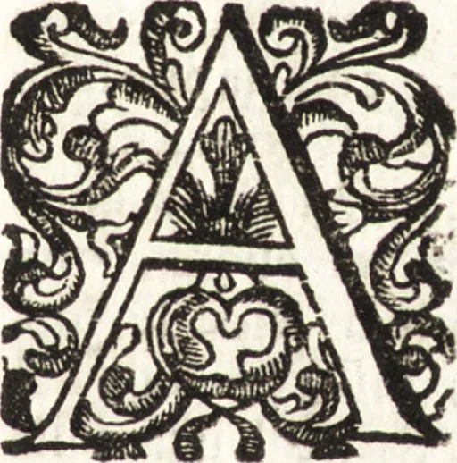 An illustration from Notizie de' professori del disegno da Cimabue in qua : per le quali si dimostra come, e per chi le bell' arti di pittura, scultura, e architettura lasciata la rozzezza delle maniere greca, e gottica, si siano in questi secoli ridotte all' antica loro perfezione, 1681, leaf 606