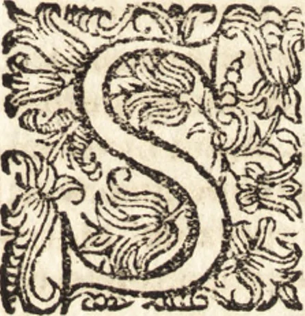 An illustration from Notizie de' professori del disegno da Cimabue in qua : per le quali si dimostra come, e per chi le bell' arti di pittura, scultura, e architettura lasciata la rozzezza delle maniere greca, e gottica, si siano in questi secoli ridotte all' antica loro perfezione, 1681, leaf 219