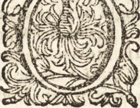 An illustration from Notizie de' professori del disegno da Cimabue in qua : per le quali si dimostra come, e per chi le bell' arti di pittura, scultura, e architettura lasciata la rozzezza delle maniere greca, e gottica, si siano in questi secoli ridotte all' antica loro perfezione, 1681, leaf 228