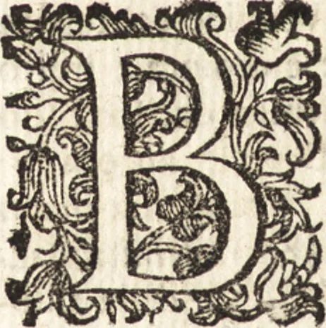 An illustration from Notizie de' professori del disegno da Cimabue in qua : per le quali si dimostra come, e per chi le bell' arti di pittura, scultura, e architettura lasciata la rozzezza delle maniere greca, e gottica, si siano in questi secoli ridotte all' antica loro perfezione, 1681, leaf 230