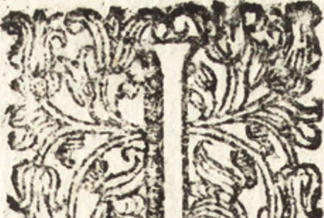 An illustration from Notizie de' professori del disegno da Cimabue in qua : per le quali si dimostra come, e per chi le bell' arti di pittura, scultura, e architettura lasciata la rozzezza delle maniere greca, e gottica, si siano in questi secoli ridotte all' antica loro perfezione, 1681, leaf 248