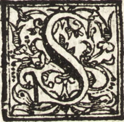 An illustration from Notizie de' professori del disegno da Cimabue in qua : per le quali si dimostra come, e per chi le bell' arti di pittura, scultura, e architettura lasciata la rozzezza delle maniere greca, e gottica, si siano in questi secoli ridotte all' antica loro perfezione, 1681, leaf 264