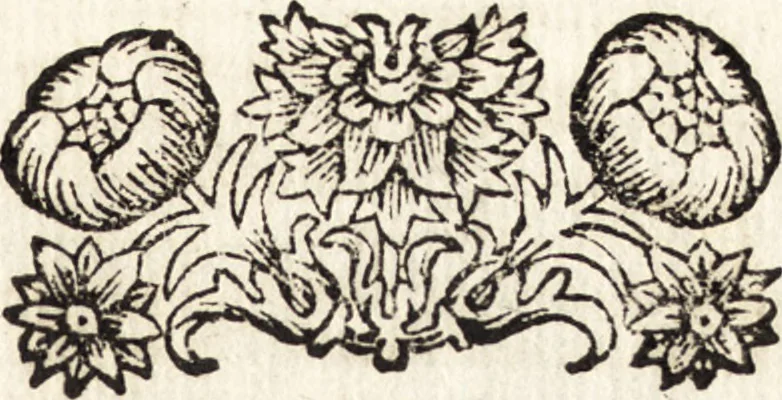 An illustration from Notizie de' professori del disegno da Cimabue in qua : per le quali si dimostra come, e per chi le bell' arti di pittura, scultura, e architettura lasciata la rozzezza delle maniere greca, e gottica, si siano in questi secoli ridotte all' antica loro perfezione, 1681, leaf 297