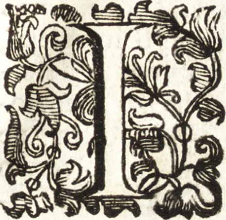 An illustration from Notizie de' professori del disegno da Cimabue in qua : per le quali si dimostra come, e per chi le bell' arti di pittura, scultura, e architettura lasciata la rozzezza delle maniere greca, e gottica, si siano in questi secoli ridotte all' antica loro perfezione, 1681, leaf 457
