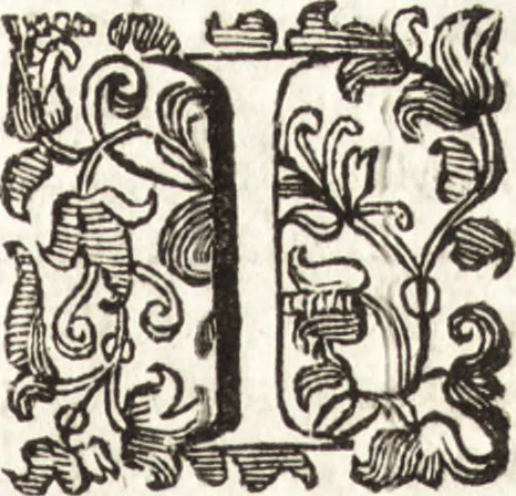 An illustration from Notizie de' professori del disegno da Cimabue in qua : per le quali si dimostra come, e per chi le bell' arti di pittura, scultura, e architettura lasciata la rozzezza delle maniere greca, e gottica, si siano in questi secoli ridotte all' antica loro perfezione, 1681, leaf 467