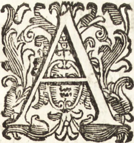 An illustration from Notizie de' professori del disegno da Cimabue in qua : per le quali si dimostra come, e per chi le bell' arti di pittura, scultura, e architettura lasciata la rozzezza delle maniere greca, e gottica, si siano in questi secoli ridotte all' antica loro perfezione, 1681, leaf 469