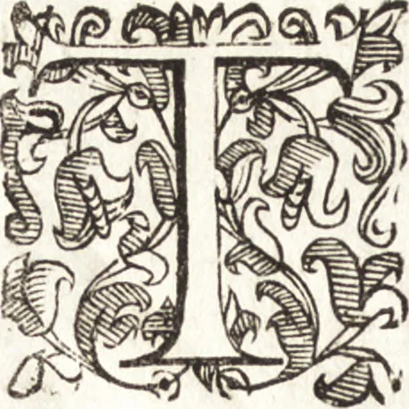 An illustration from Notizie de' professori del disegno da Cimabue in qua : per le quali si dimostra come, e per chi le bell' arti di pittura, scultura, e architettura lasciata la rozzezza delle maniere greca, e gottica, si siano in questi secoli ridotte all' antica loro perfezione, 1681, leaf 470