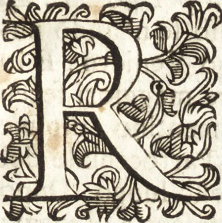 An illustration from Notizie de' professori del disegno da Cimabue in qua : per le quali si dimostra come, e per chi le bell' arti di pittura, scultura, e architettura lasciata la rozzezza delle maniere greca, e gottica, si siano in questi secoli ridotte all' antica loro perfezione, 1681, leaf 507