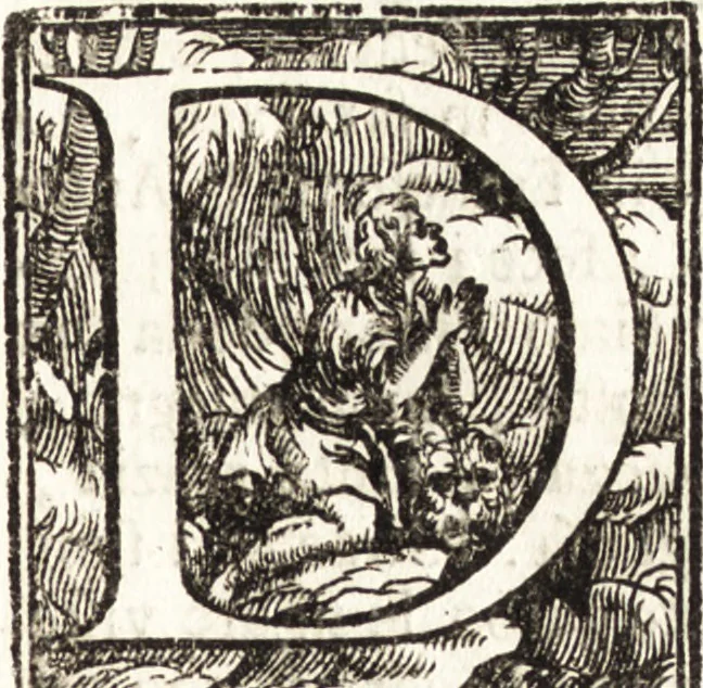 An illustration from Notizie de' professori del disegno da Cimabue in qua : per le quali si dimostra come, e per chi le bell' arti di pittura, scultura, e architettura lasciata la rozzezza delle maniere greca, e gottica, si siano in questi secoli ridotte all' antica loro perfezione, 1681, leaf 533