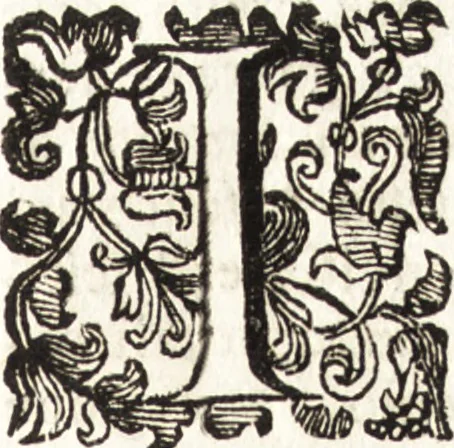 An illustration from Notizie de' professori del disegno da Cimabue in qua : per le quali si dimostra come, e per chi le bell' arti di pittura, scultura, e architettura lasciata la rozzezza delle maniere greca, e gottica, si siano in questi secoli ridotte all' antica loro perfezione, 1681, leaf 535