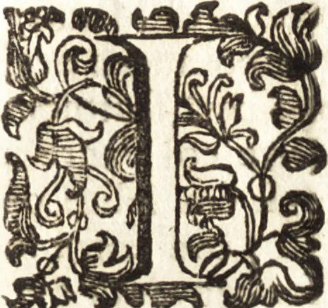 An illustration from Notizie de' professori del disegno da Cimabue in qua : per le quali si dimostra come, e per chi le bell' arti di pittura, scultura, e architettura lasciata la rozzezza delle maniere greca, e gottica, si siano in questi secoli ridotte all' antica loro perfezione, 1681, leaf 547