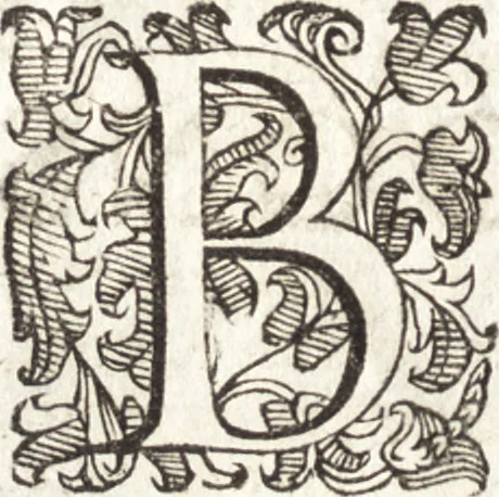 An illustration from Notizie de' professori del disegno da Cimabue in qua : per le quali si dimostra come, e per chi le bell' arti di pittura, scultura, e architettura lasciata la rozzezza delle maniere greca, e gottica, si siano in questi secoli ridotte all' antica loro perfezione, 1681, leaf 704