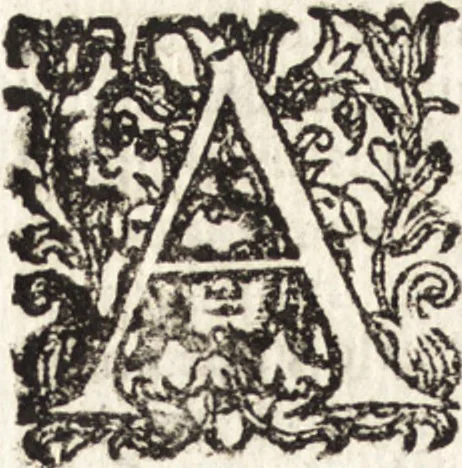 An illustration from Notizie de' professori del disegno da Cimabue in qua : per le quali si dimostra come, e per chi le bell' arti di pittura, scultura, e architettura lasciata la rozzezza delle maniere greca, e gottica, si siano in questi secoli ridotte all' antica loro perfezione, 1681, leaf 78