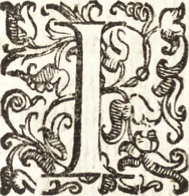 An illustration from Notizie de' professori del disegno da Cimabue in qua : per le quali si dimostra come, e per chi le bell' arti di pittura, scultura, e architettura lasciata la rozzezza delle maniere greca, e gottica, si siano in questi secoli ridotte all' antica loro perfezione, 1681, leaf 208
