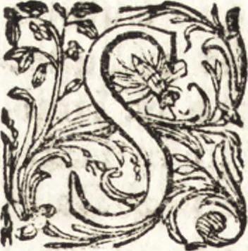 An illustration from Notizie de' professori del disegno da Cimabue in qua : per le quali si dimostra come, e per chi le bell' arti di pittura, scultura, e architettura lasciata la rozzezza delle maniere greca, e gottica, si siano in questi secoli ridotte all' antica loro perfezione, 1681, leaf 433