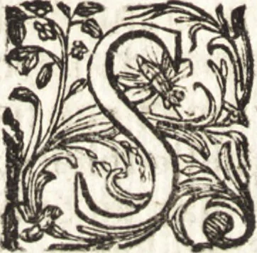 An illustration from Notizie de' professori del disegno da Cimabue in qua : per le quali si dimostra come, e per chi le bell' arti di pittura, scultura, e architettura lasciata la rozzezza delle maniere greca, e gottica, si siano in questi secoli ridotte all' antica loro perfezione, 1681, leaf 523