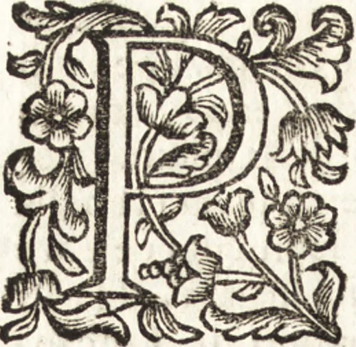 An illustration from Notizie de' professori del disegno da Cimabue in qua : per le quali si dimostra come, e per chi le bell' arti di pittura, scultura, e architettura lasciata la rozzezza delle maniere greca, e gottica, si siano in questi secoli ridotte all' antica loro perfezione, 1681, leaf 535