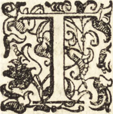 An illustration from Notizie de' professori del disegno da Cimabue in qua : per le quali si dimostra come, e per chi le bell' arti di pittura, scultura, e architettura lasciata la rozzezza delle maniere greca, e gottica, si siano in questi secoli ridotte all' antica loro perfezione, 1681, leaf 599