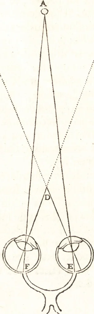 An illustration from Nouvelle découverte touchant la veüe, 1668, leaf 30