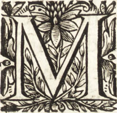 An illustration from Nouvelle découverte touchant la veüe, 1668, leaf 6