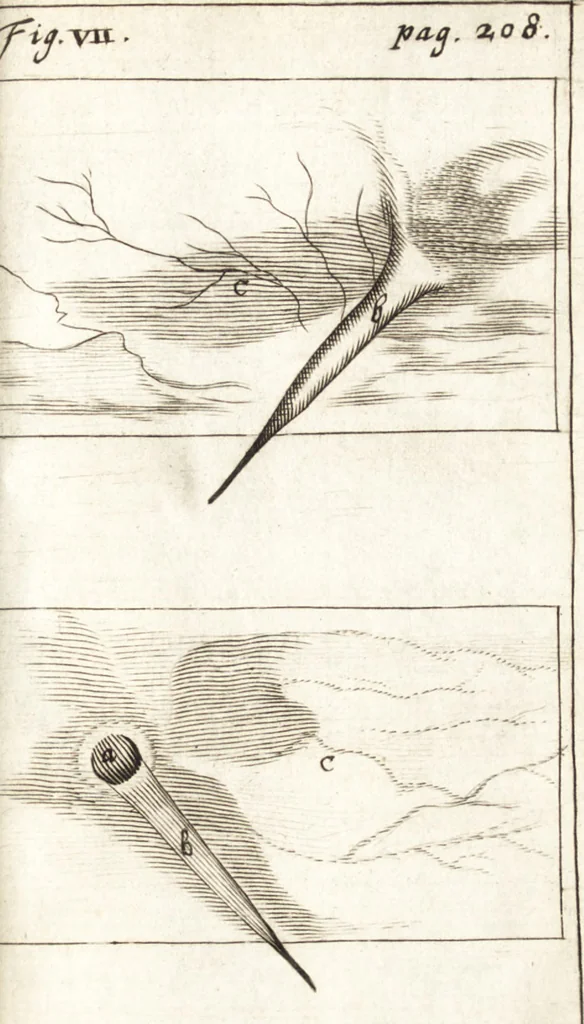 An illustration from Observationes et historiae omnes & singulae è Guijielmi Harvei libello De generatione animalium excerptae, & in accuratissimum ordinem redactae : item Wilhelmi Langly De generatione animalium observationes quaedam : accedunt Ovi faecundi singulis ab incubatione diebus factae inspectiones : ut et Observationum anatomico-med. decades quatuor, denique Cadavara balsamo condiendi modus, 1674, leaf 262