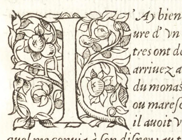 An illustration from Les observations de plvsievrs singvlaritez et choses memorables, trouuées en Grece, Asie, Iudée, Egypte, Arabie, & autres pays estranges, 1553, leaf 114