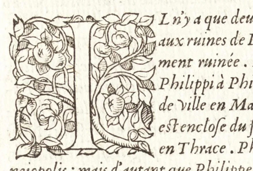 An illustration from Les observations de plvsievrs singvlaritez et choses memorables, trouuées en Grece, Asie, Iudée, Egypte, Arabie, & autres pays estranges, 1553, leaf 141