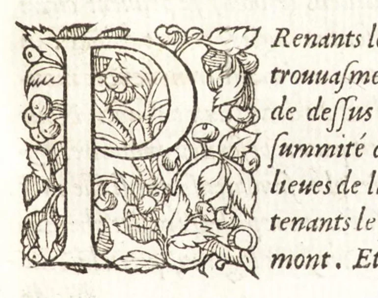 An illustration from Les observations de plvsievrs singvlaritez et choses memorables, trouuées en Grece, Asie, Iudée, Egypte, Arabie, & autres pays estranges, 1553, leaf 148