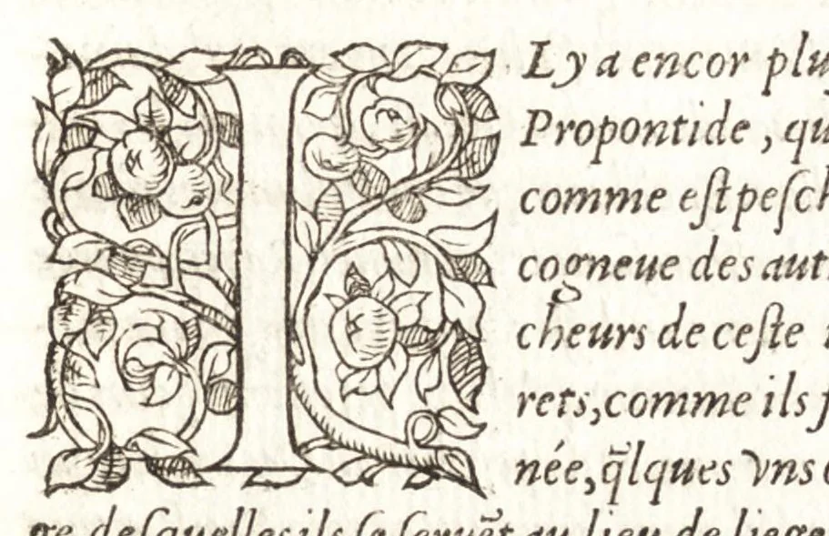 An illustration from Les observations de plvsievrs singvlaritez et choses memorables, trouuées en Grece, Asie, Iudée, Egypte, Arabie, & autres pays estranges, 1553, leaf 168