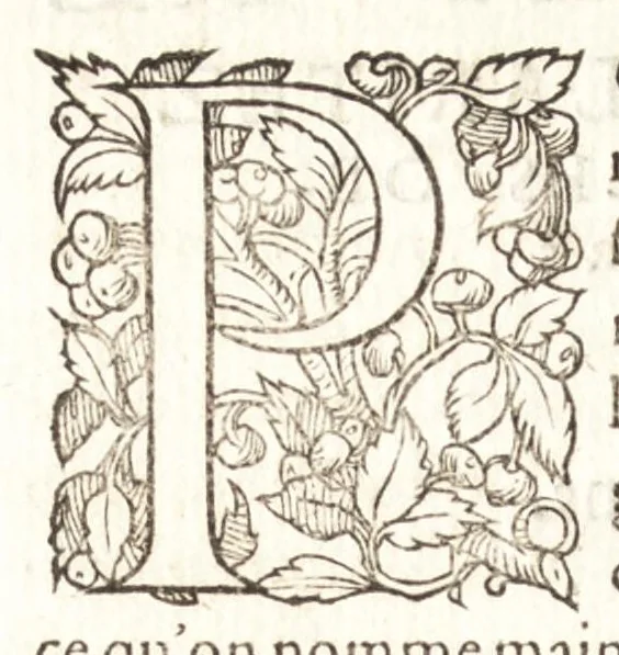 An illustration from Les observations de plvsievrs singvlaritez et choses memorables, trouuées en Grece, Asie, Iudée, Egypte, Arabie, & autres pays estranges, 1553, leaf 181