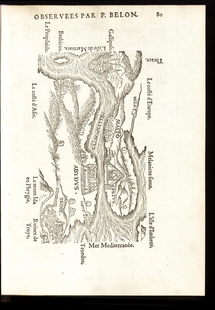 An illustration from Les observations de plvsievrs singvlaritez et choses memorables, trouuées en Grece, Asie, Iudée, Egypte, Arabie, & autres pays estranges, 1553, leaf 186