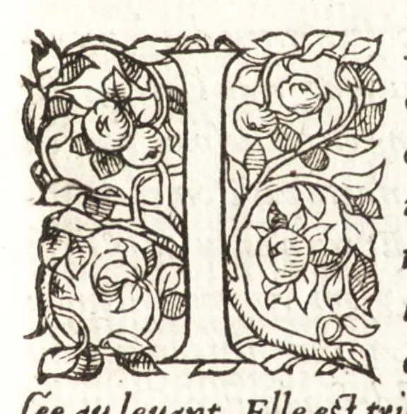 An illustration from Les observations de plvsievrs singvlaritez et choses memorables, trouuées en Grece, Asie, Iudée, Egypte, Arabie, & autres pays estranges, 1553, leaf 196