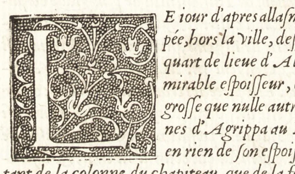 An illustration from Les observations de plvsievrs singvlaritez et choses memorables, trouuées en Grece, Asie, Iudée, Egypte, Arabie, & autres pays estranges, 1553, leaf 217