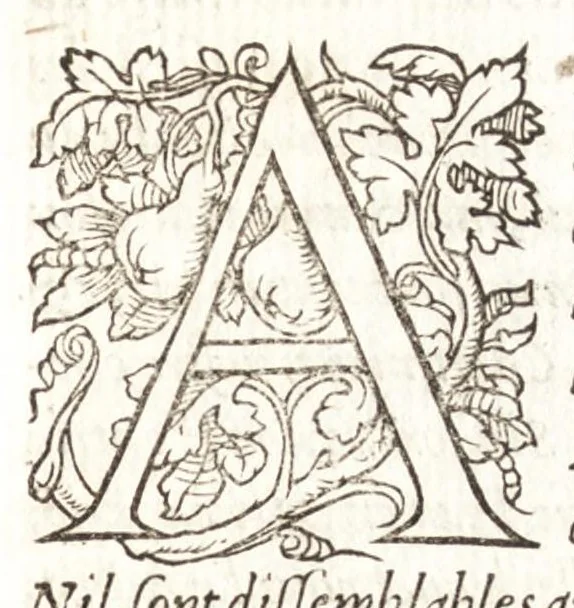 An illustration from Les observations de plvsievrs singvlaritez et choses memorables, trouuées en Grece, Asie, Iudée, Egypte, Arabie, & autres pays estranges, 1553, leaf 232
