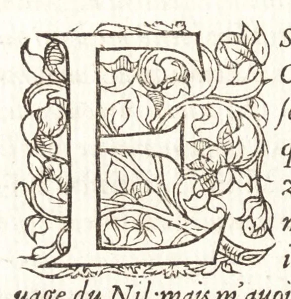 An illustration from Les observations de plvsievrs singvlaritez et choses memorables, trouuées en Grece, Asie, Iudée, Egypte, Arabie, & autres pays estranges, 1553, leaf 239