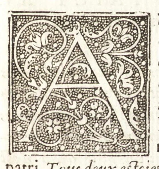An illustration from Les observations de plvsievrs singvlaritez et choses memorables, trouuées en Grece, Asie, Iudée, Egypte, Arabie, & autres pays estranges, 1553, leaf 266