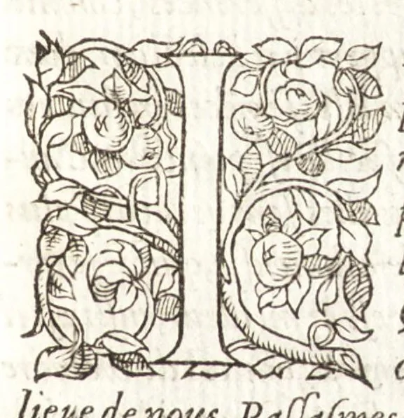 An illustration from Les observations de plvsievrs singvlaritez et choses memorables, trouuées en Grece, Asie, Iudée, Egypte, Arabie, & autres pays estranges, 1553, leaf 272