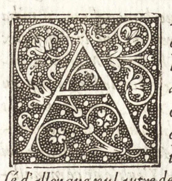 An illustration from Les observations de plvsievrs singvlaritez et choses memorables, trouuées en Grece, Asie, Iudée, Egypte, Arabie, & autres pays estranges, 1553, leaf 281