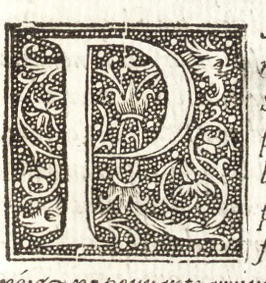 An illustration from Les observations de plvsievrs singvlaritez et choses memorables, trouuées en Grece, Asie, Iudée, Egypte, Arabie, & autres pays estranges, 1553, leaf 290