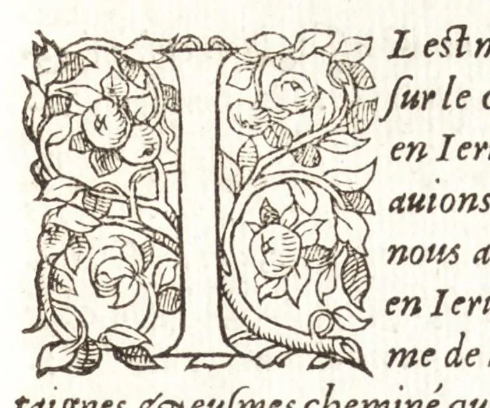 An illustration from Les observations de plvsievrs singvlaritez et choses memorables, trouuées en Grece, Asie, Iudée, Egypte, Arabie, & autres pays estranges, 1553, leaf 308
