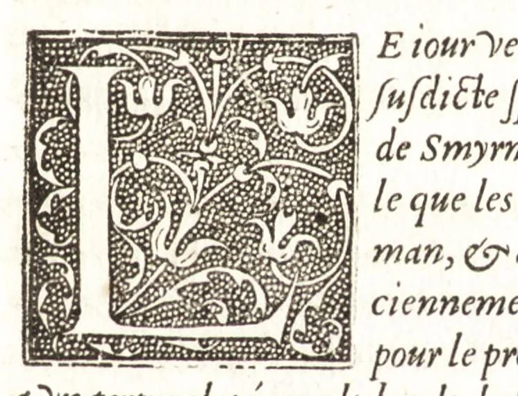 An illustration from Les observations de plvsievrs singvlaritez et choses memorables, trouuées en Grece, Asie, Iudée, Egypte, Arabie, & autres pays estranges, 1553, leaf 334