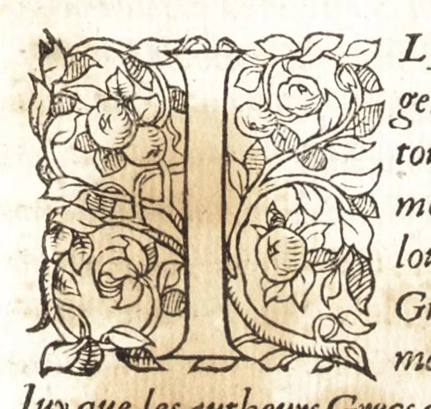 An illustration from Les observations de plvsievrs singvlaritez et choses memorables, trouuées en Grece, Asie, Iudée, Egypte, Arabie, & autres pays estranges, 1553, leaf 350