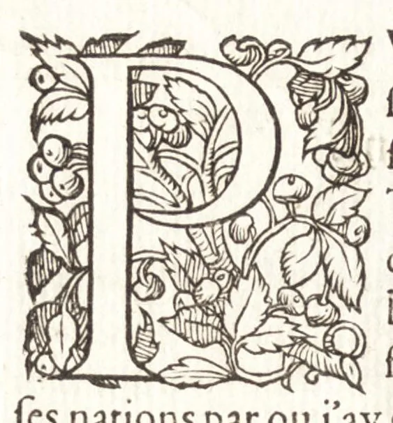 An illustration from Les observations de plvsievrs singvlaritez et choses memorables, trouuées en Grece, Asie, Iudée, Egypte, Arabie, & autres pays estranges, 1553, leaf 365