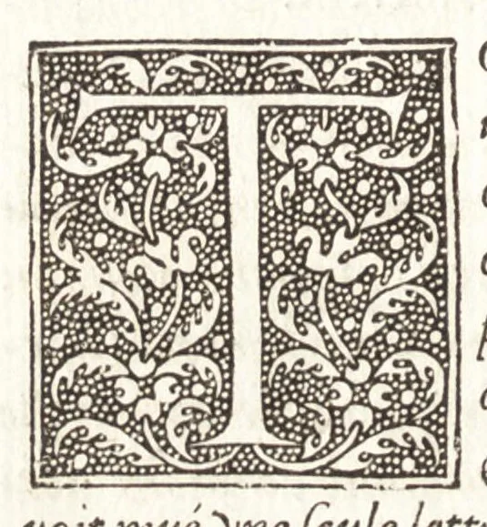 An illustration from Les observations de plvsievrs singvlaritez et choses memorables, trouuées en Grece, Asie, Iudée, Egypte, Arabie, & autres pays estranges, 1553, leaf 369