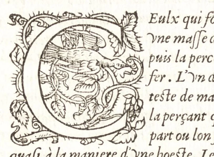An illustration from Les observations de plvsievrs singvlaritez et choses memorables, trouuées en Grece, Asie, Iudée, Egypte, Arabie, & autres pays estranges, 1553, leaf 399