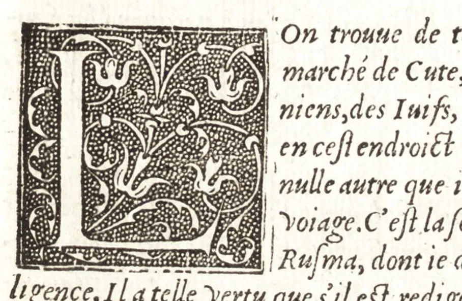 An illustration from Les observations de plvsievrs singvlaritez et choses memorables, trouuées en Grece, Asie, Iudée, Egypte, Arabie, & autres pays estranges, 1553, leaf 418