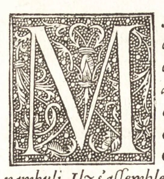 An illustration from Les observations de plvsievrs singvlaritez et choses memorables, trouuées en Grece, Asie, Iudée, Egypte, Arabie, & autres pays estranges, 1553, leaf 427