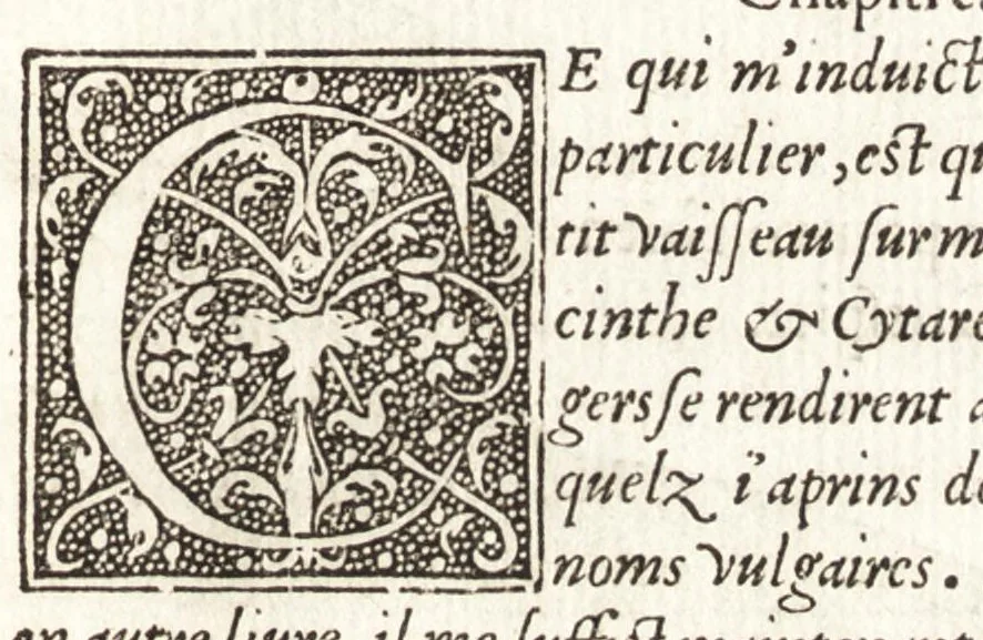 An illustration from Les observations de plvsievrs singvlaritez et choses memorables, trouuées en Grece, Asie, Iudée, Egypte, Arabie, & autres pays estranges, 1553, leaf 46