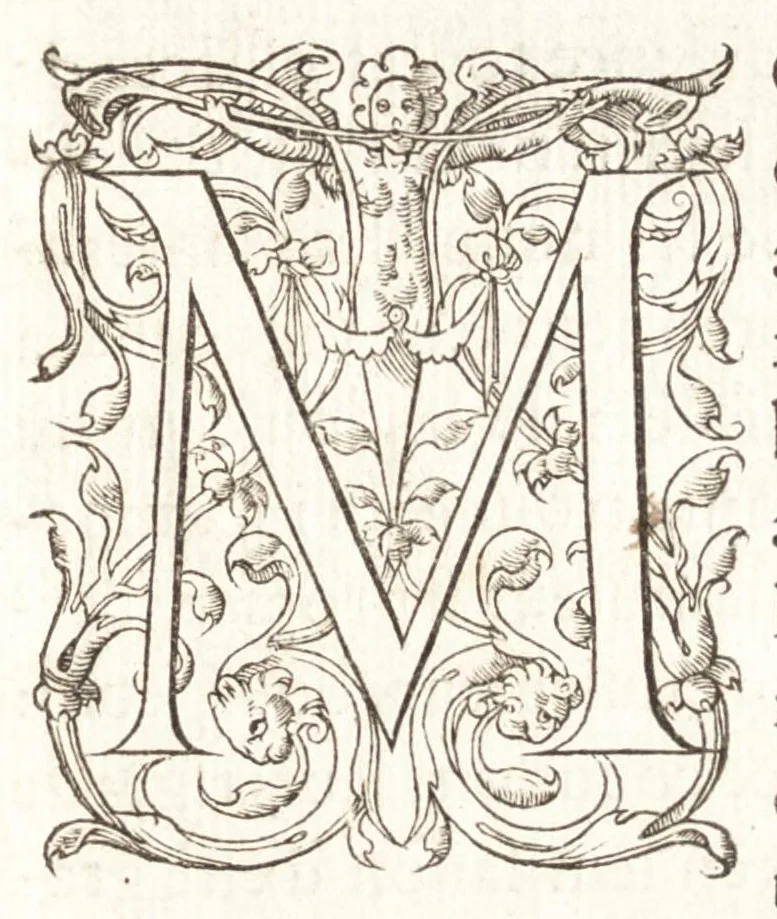 An illustration from Les observations de plvsievrs singvlaritez et choses memorables, trouuées en Grece, Asie, Iudée, Egypte, Arabie, & autres pays estranges, 1553, leaf 6