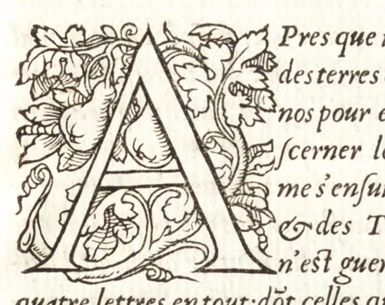 An illustration from Les observations de plvsievrs singvlaritez et choses memorables, trouuées en Grece, Asie, Iudée, Egypte, Arabie, & autres pays estranges, 1553, leaf 74